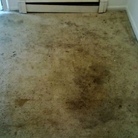 dirty carpet